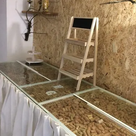 Gentile نولي